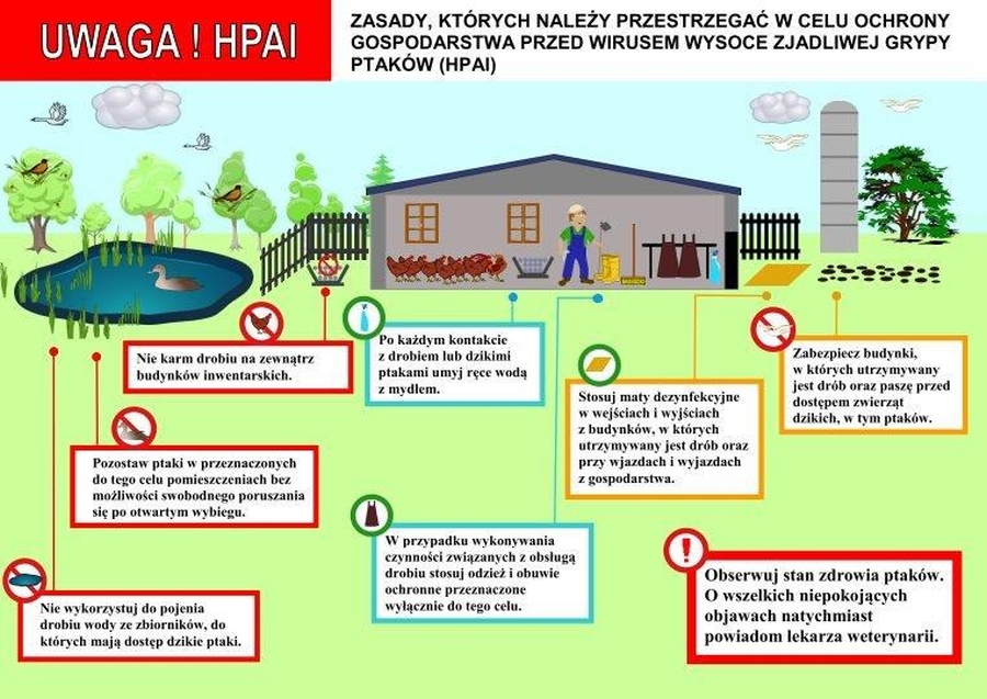 Plakat opisujący zasady, których należy przestrzegać w celu ochrony gospodarstwa przed wirusem wysoce zjadliwej grypy ptaków (HPAI)