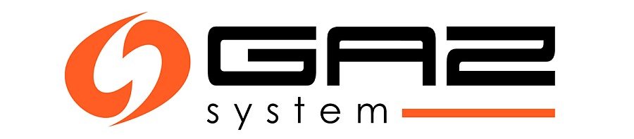 Logotyp GAZ SYSTEM