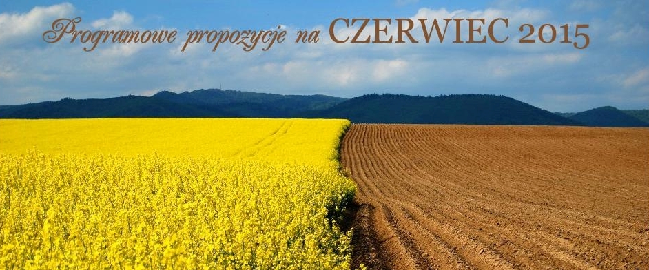 2015.06.02.propozycjemoksir