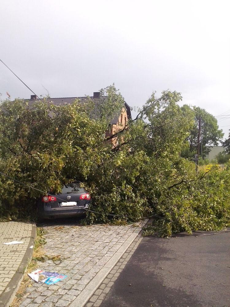 2015.07.08.nawalnica 7