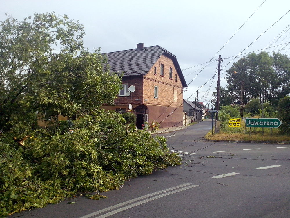 2015.07.08.nawalnica 8