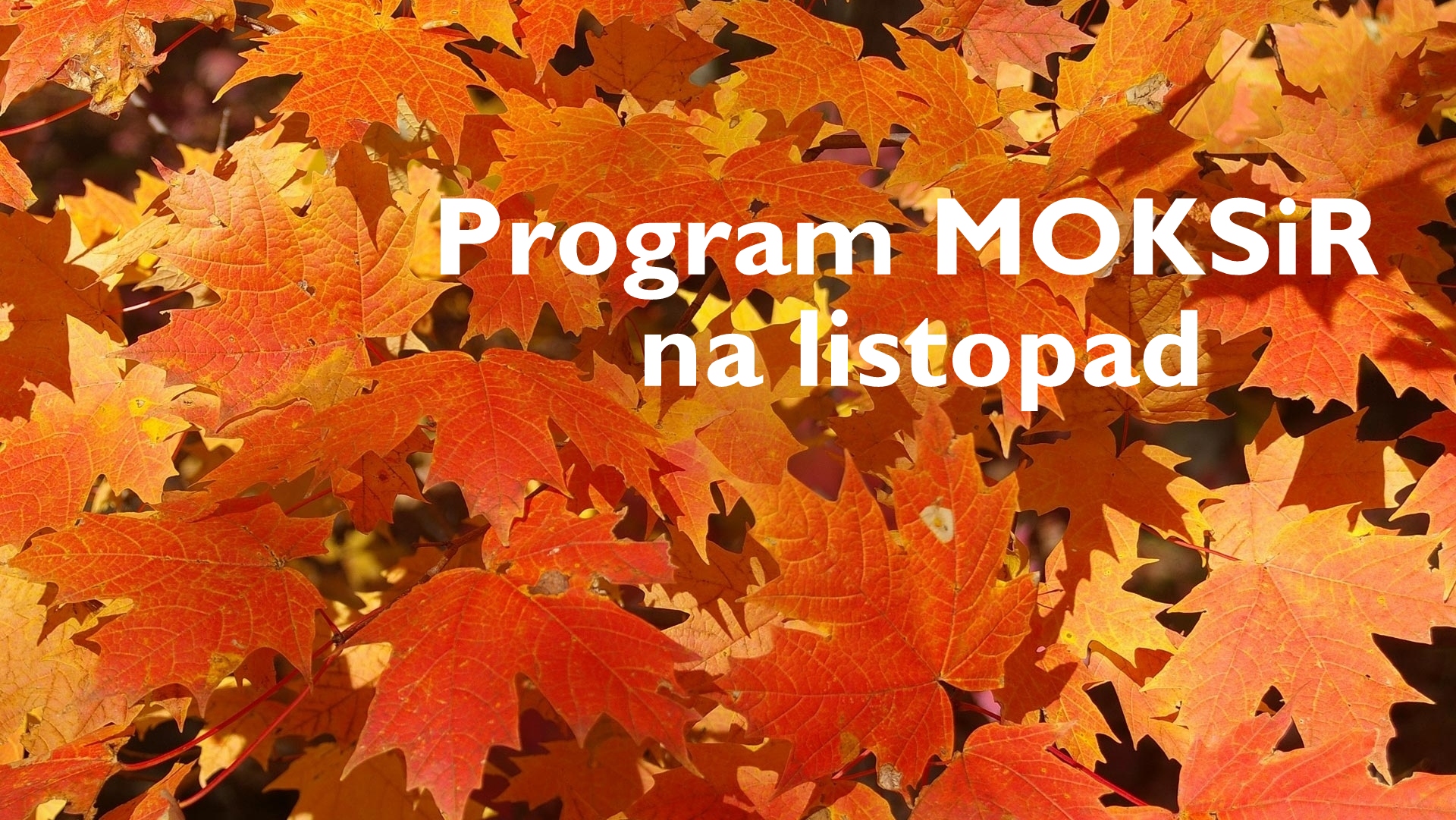 2015.11.02.program2