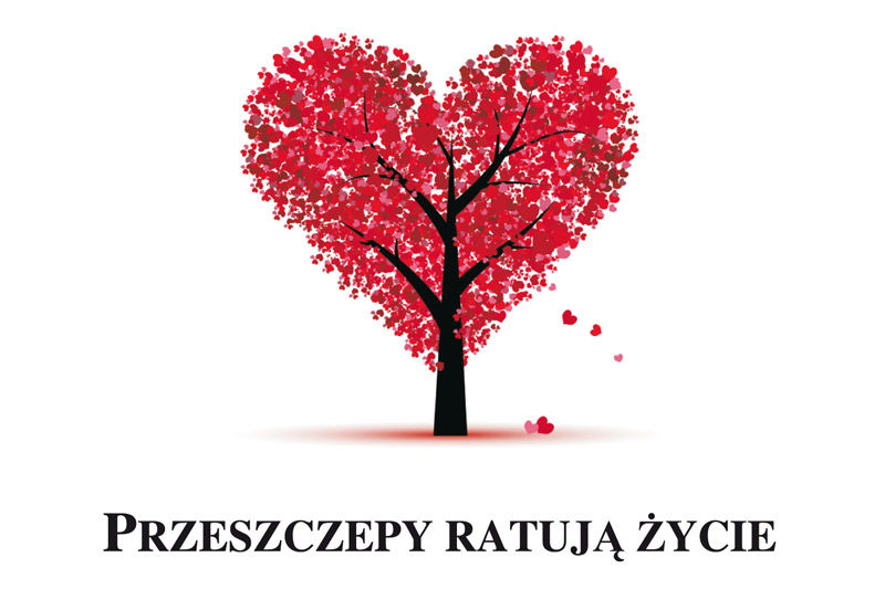 2015.11.17.przeszczep