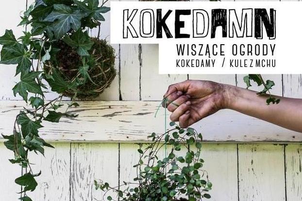 2016.02.16.kokedamn