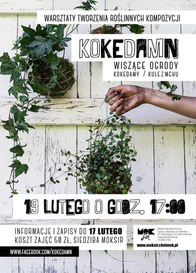 2016.02.16.kokedamn1