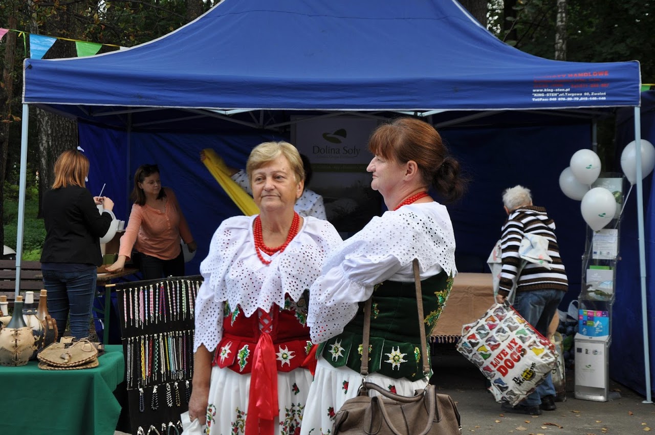 2016.09.30.Przemsza 8