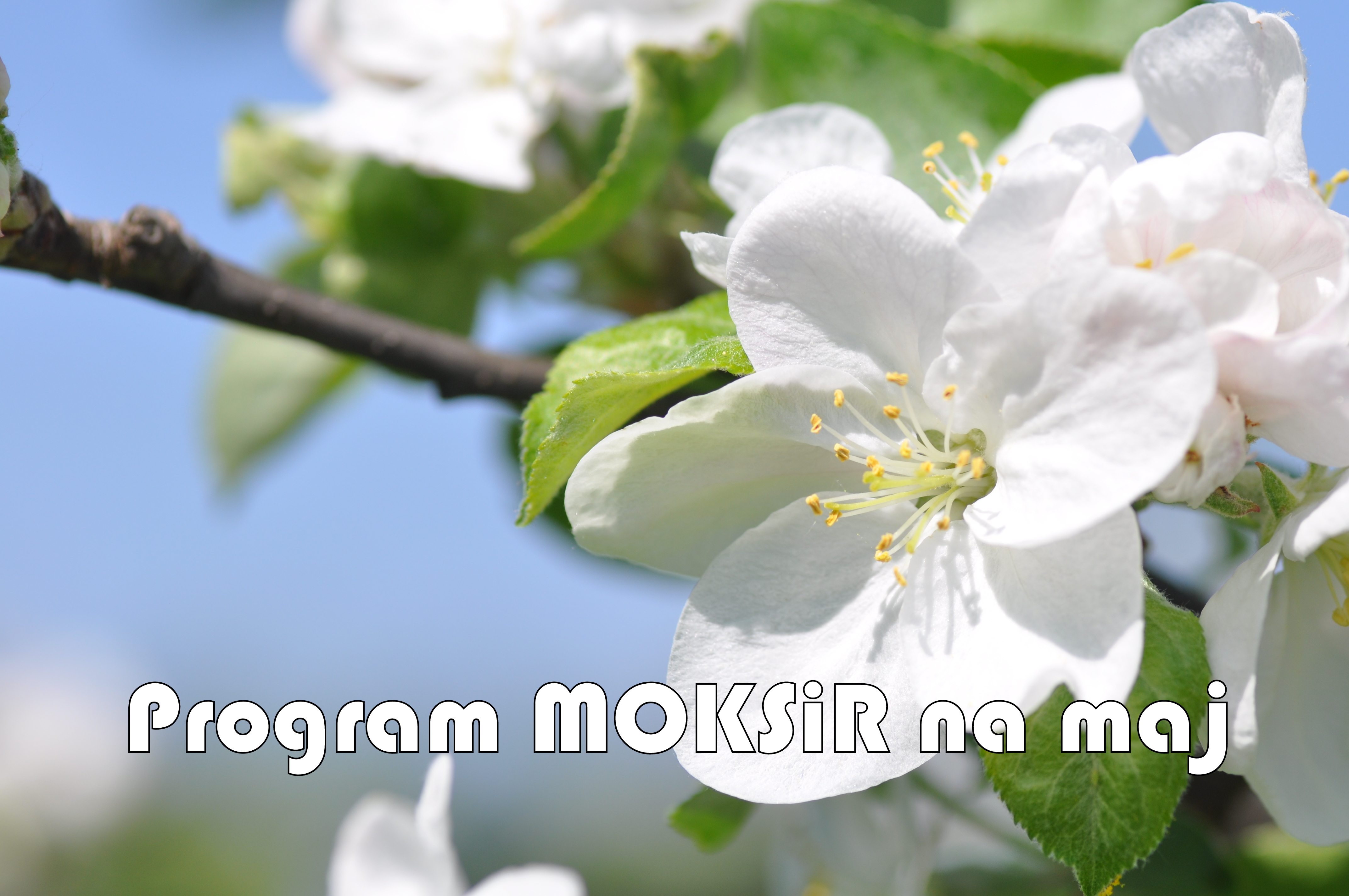 2016.05.05.MOKSiR