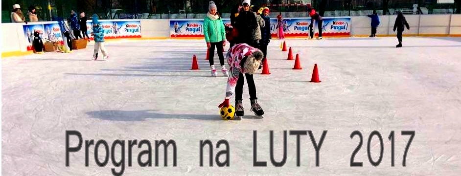 2017.02.07.lutyprog
