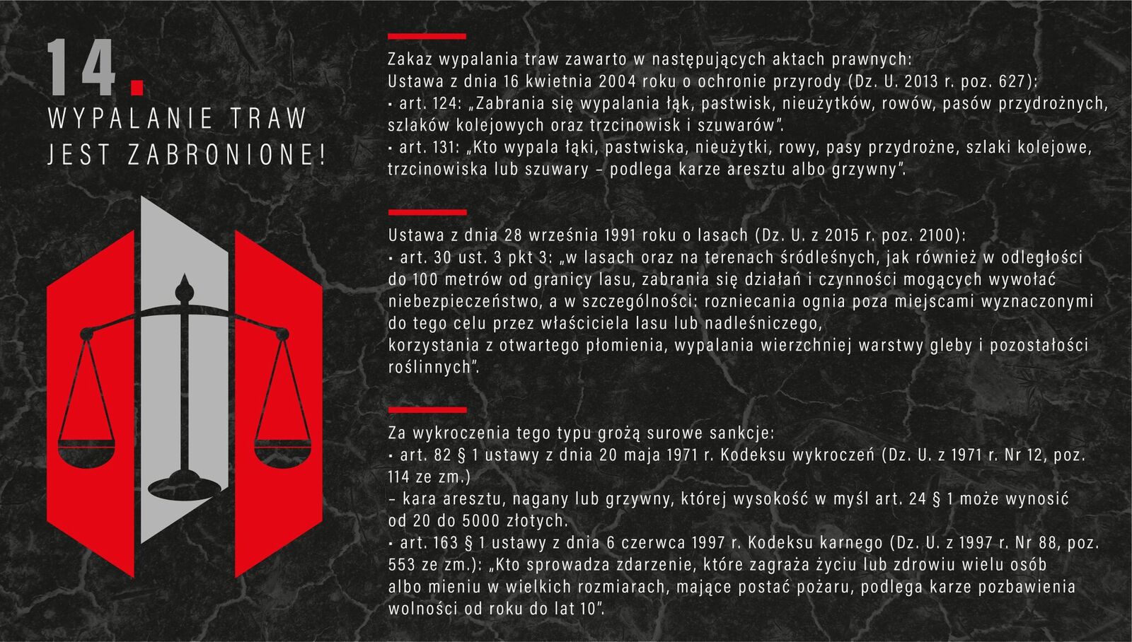 2018.03.19. trawy 2