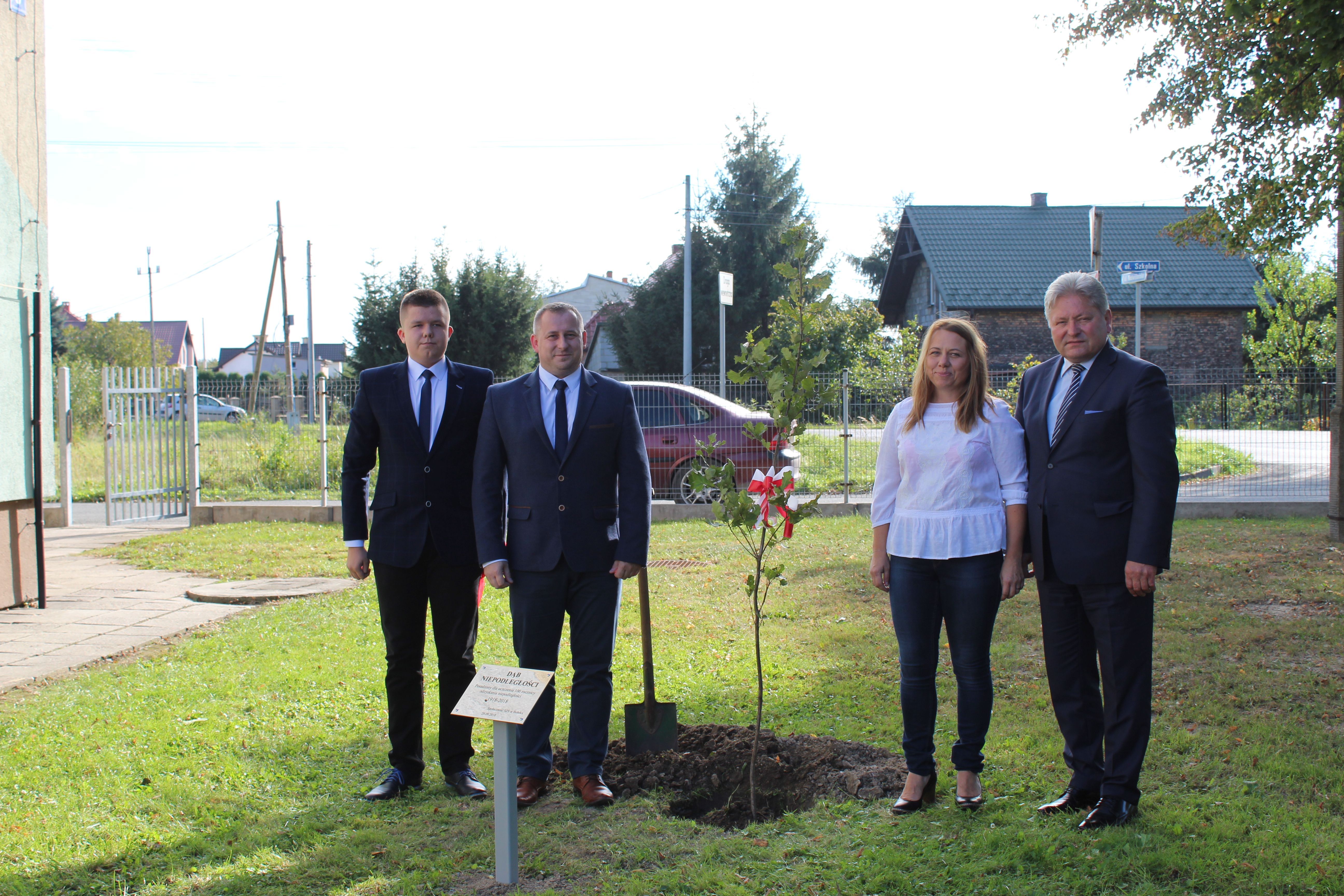 2018.10.08 dzrewo bobrek 1