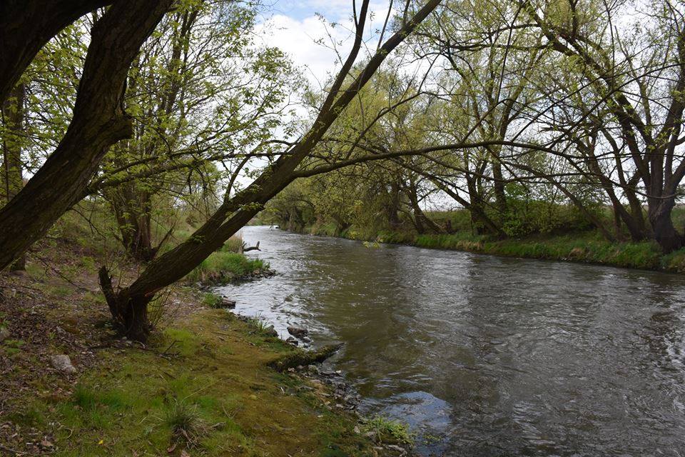 20190426przemsza4