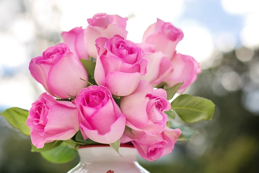 Roze