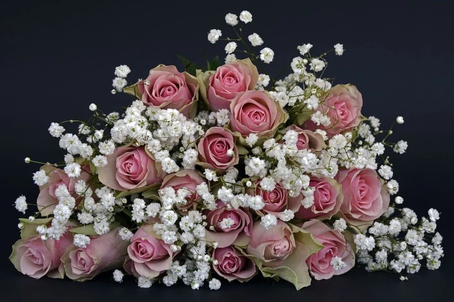 roses