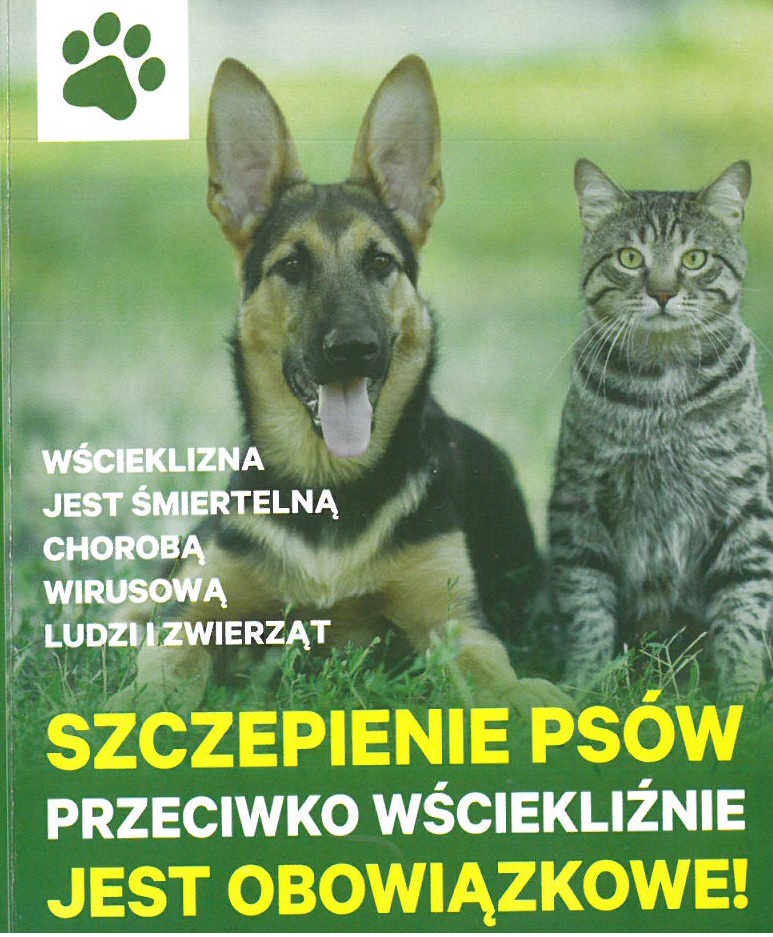 plakat