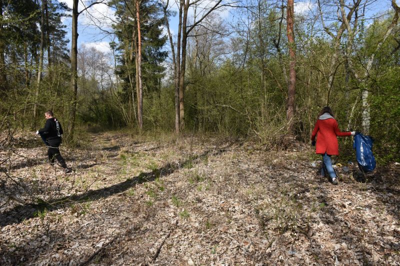 Sprzątanie lasu "Kamionka" w Chełmku.