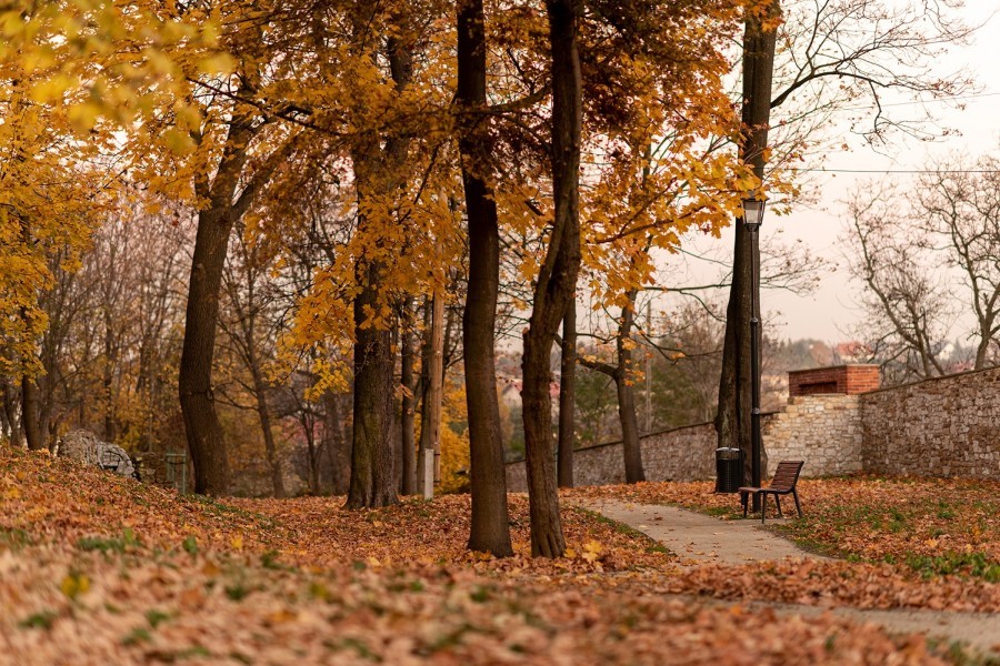 Park w Kościelcu.
