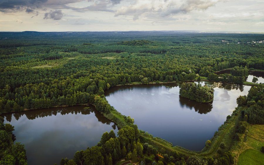 Widok przedstawiający stawy w gminie Chełmek z lotu ptaka.