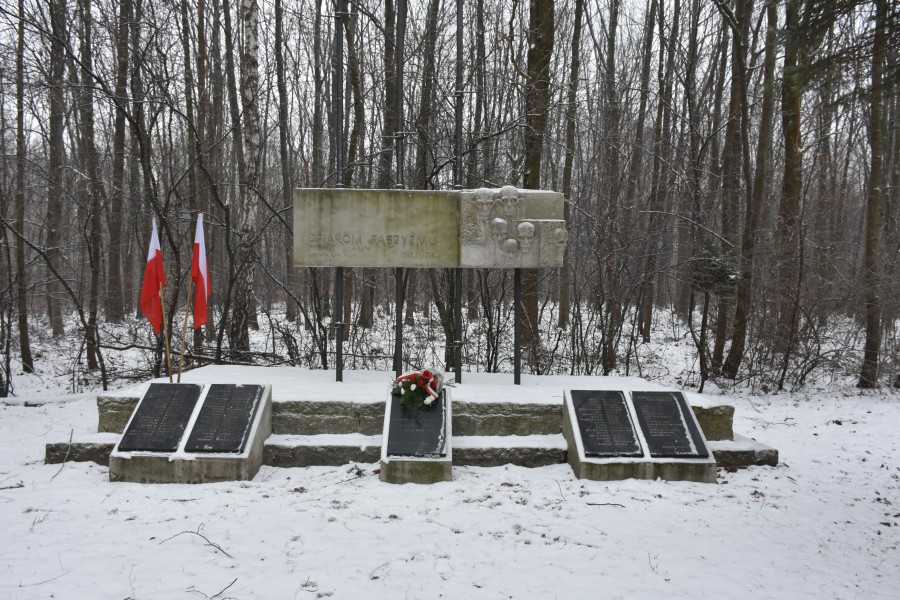 Pomnik "Ofiar Faszyzmu" na Paprotniku w Chełmku.