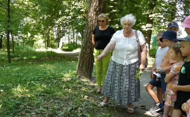 Ogrodowe Skrzynki Kontaktowe 2