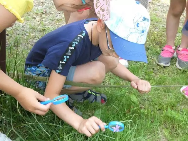 Ogrodowe Skrzynki Kontaktowe 3