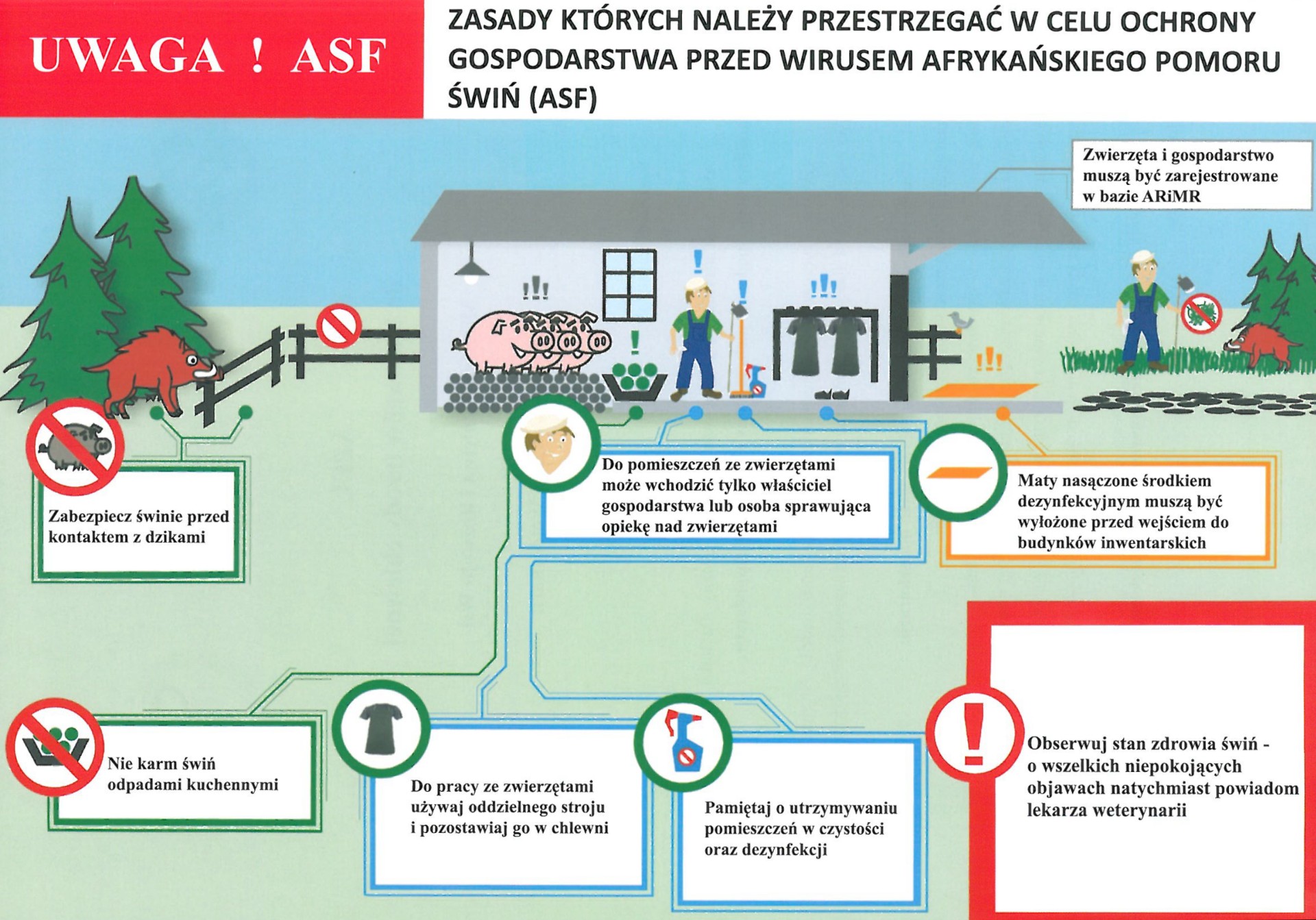 Ulotka ASF - zasady, których należy przestrzegać w celu ochrony gospodarstwa przed wirusem ASF.