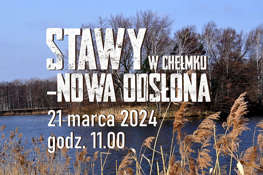 stawy naglowek