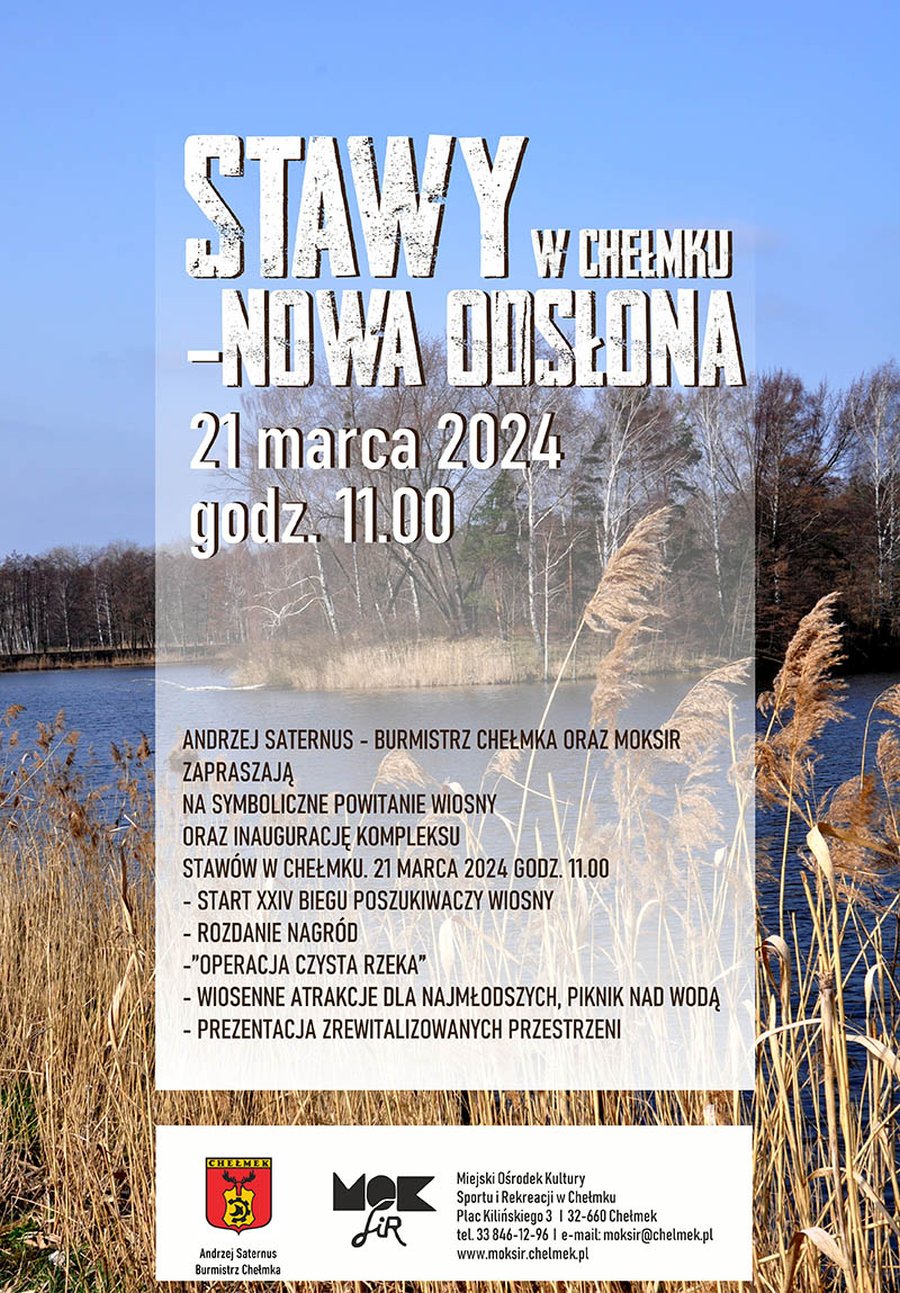 stawy plakat