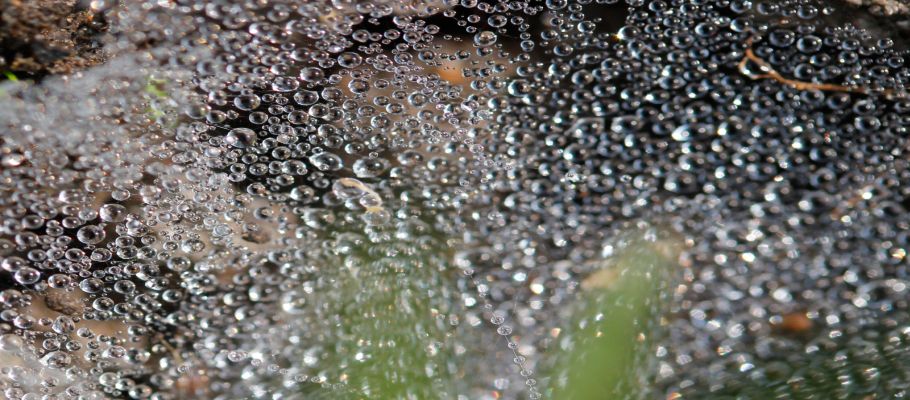 rain 2