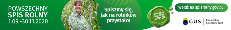 spis news
