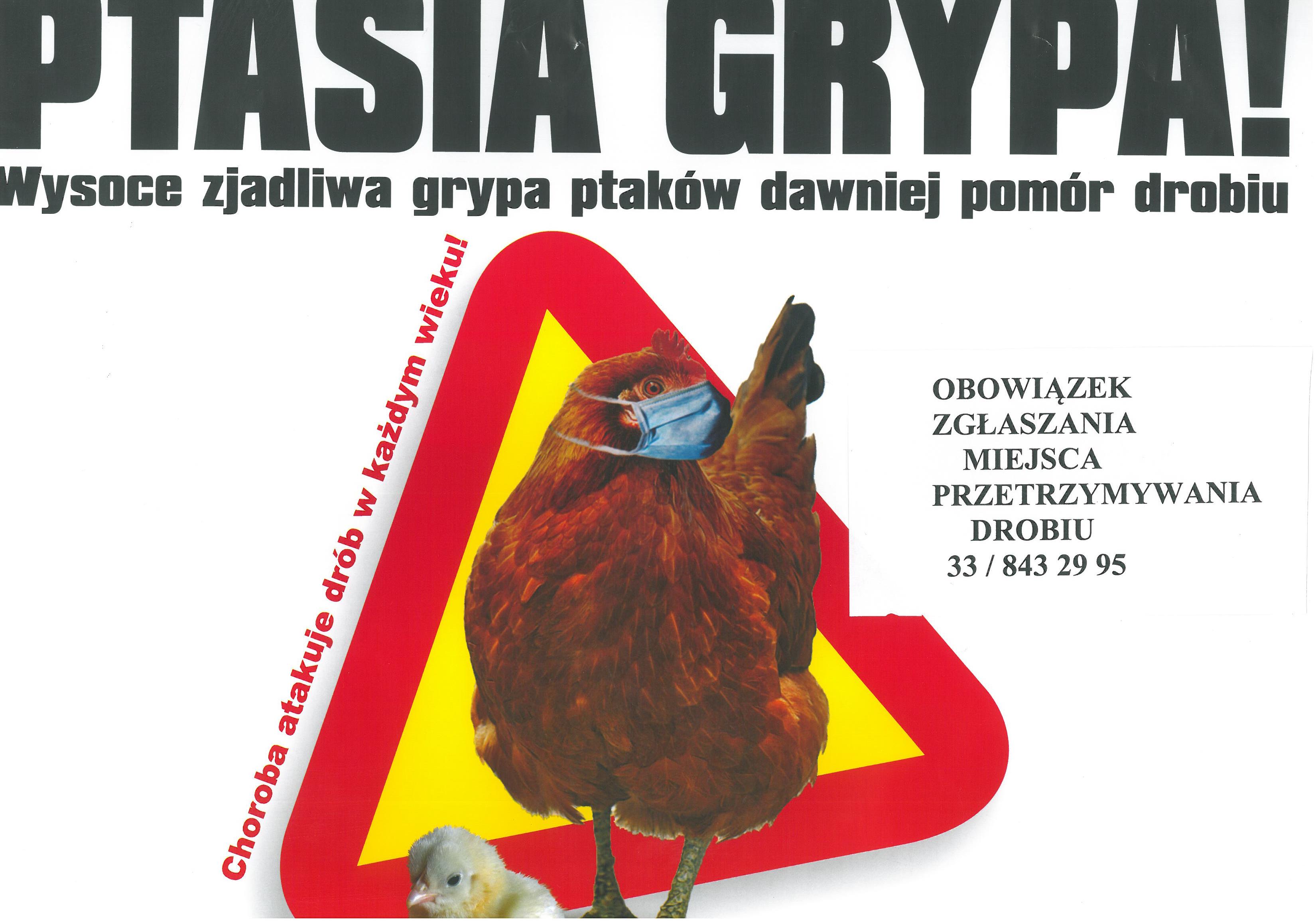 trojkat